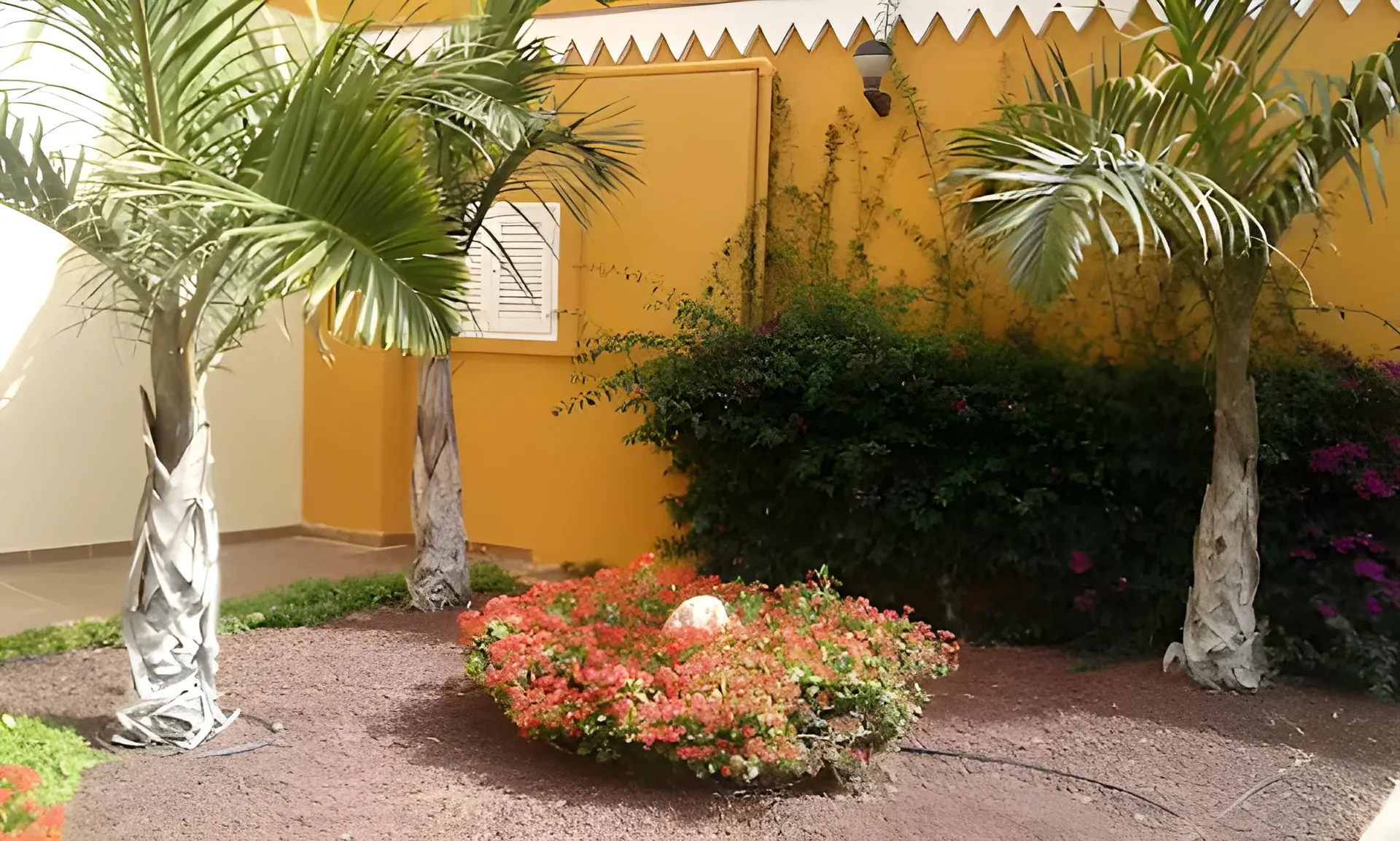 Jardín del complejo con palmeras y flores