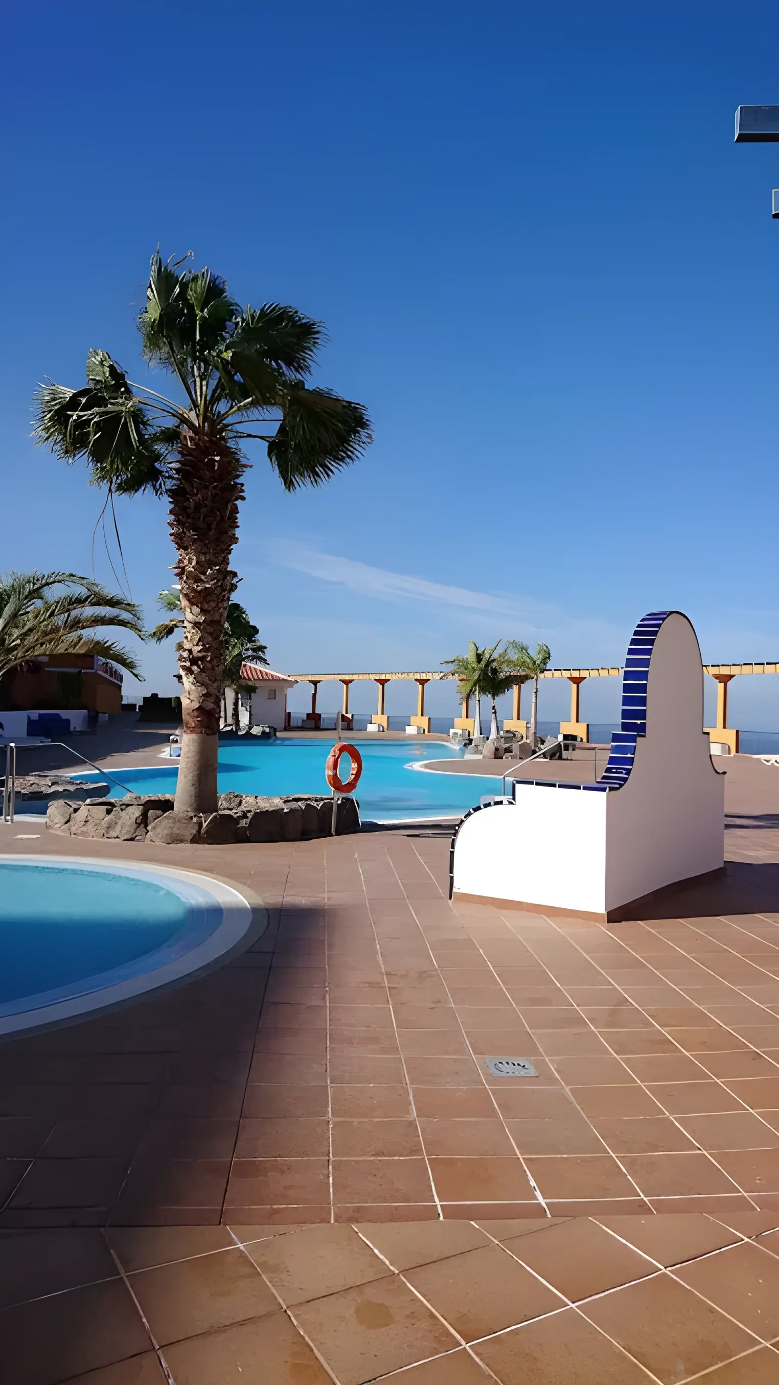 Palmeras junto a la piscina bajo el cielo azul